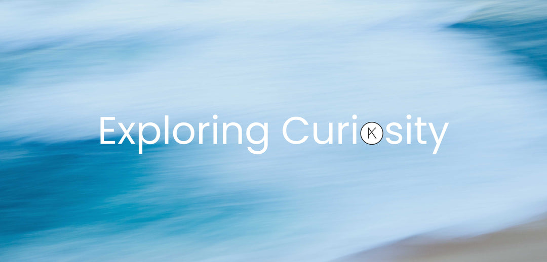 Exploring Curiosity: A New Year Reflection