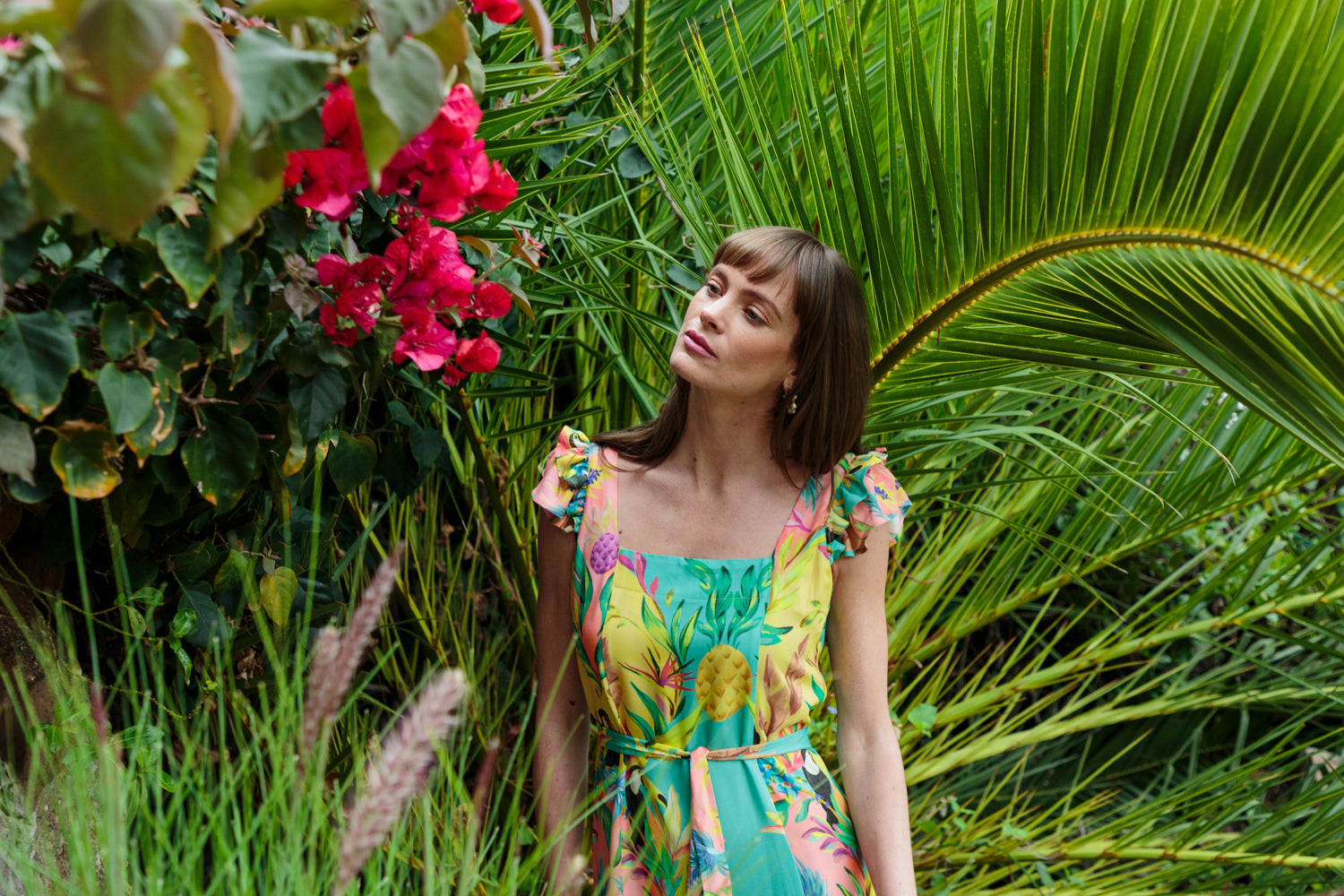 The Toucan Collection